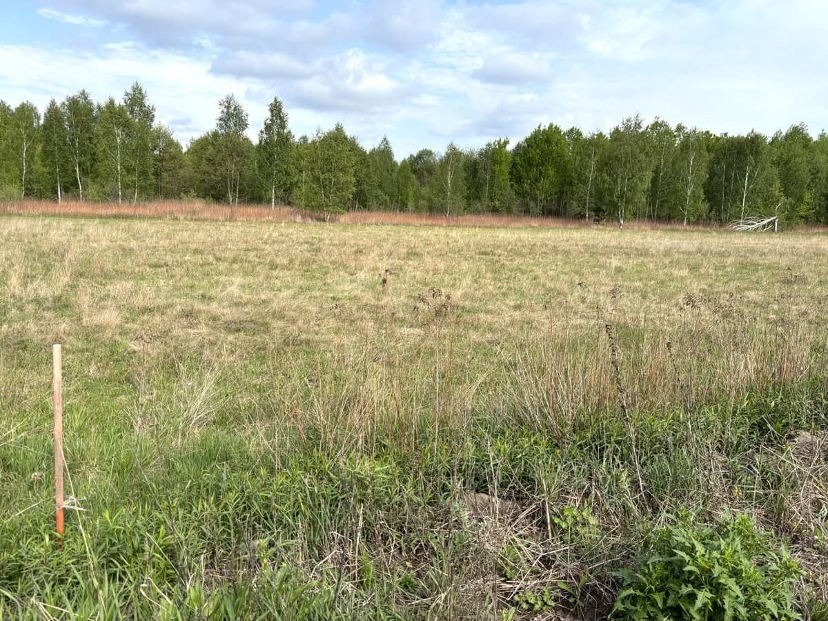 Bardzo atrakcyjna działka pod budowę domu w cichej, zielonej okolicy - zdjęcie 1