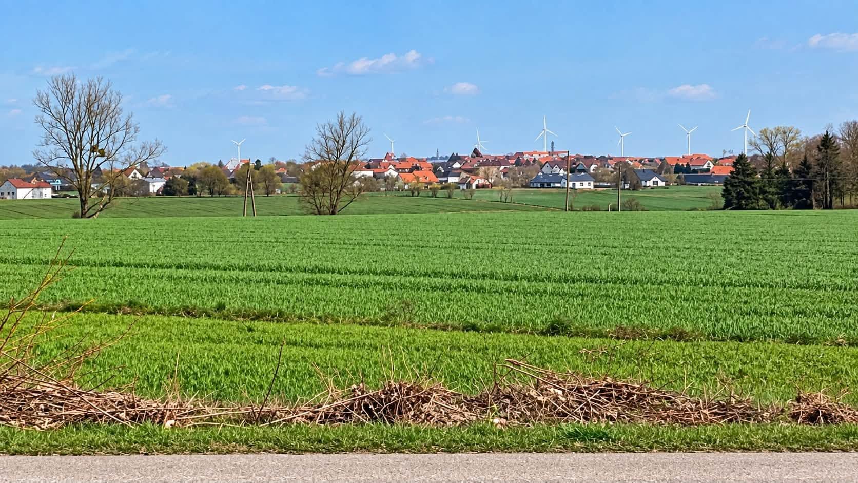 Działka budowlana w spokojnej okolicy - zdjęcie 1